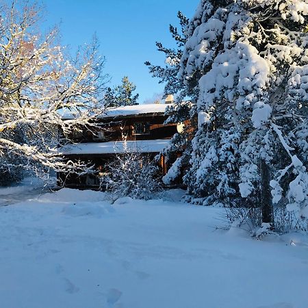 Kibuvitsa Holiday House Muratsi Εξωτερικό φωτογραφία